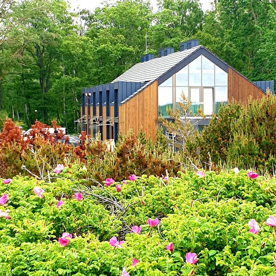 네링가 Sea House Preila 아파트 외부 사진